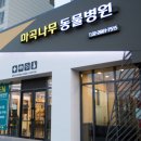 강서동물병원 이미지