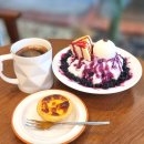 사림동114 이미지