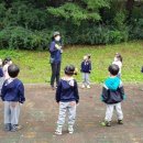 레몬숲어린이집 이미지