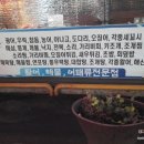 어랏차회포차 이미지