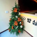 은아패션 | 창원 정식 맛집 밥심