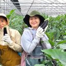 유미농장 이미지