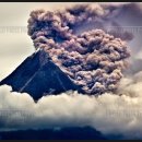 (주)파노스 이미지