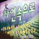 카페율어 이미지