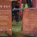 일일사카폐