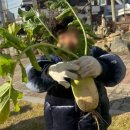 창릉어린이집 이미지