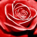 양양고등학교 이미지