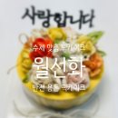 선화 | 강릉 주문제작 떡케이크 맛집 [월선화] 용돈 케이크 후기