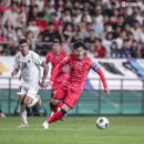 냥이 주택 이미지