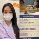 미자네 이미지