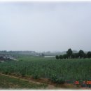 망운면 송현4리 성동 마을-물렛등의 전설을 안고 있는 마을 이미지