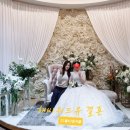 해피위드유결혼 이미지