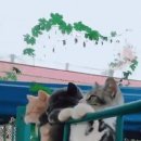 모해 - 제천시 | 모해