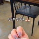 네일콤마