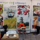 벽계관광지(내) 이미지