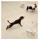 호텔마음 이미지