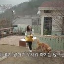 개스트푸드 티스토리
