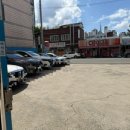 감포생밀복 이미지