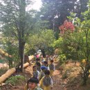 대장나무숲놀이터 이미지