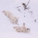 평화로운가족 이미지