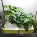 미래산업과학고등학교 이미지