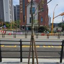 고림고등학교 이미지