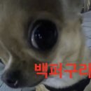없음 이미지