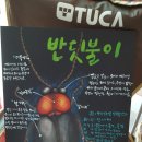 무주반디랜드반딧불자연학교 네이버블로그
