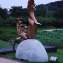 이동레포츠공원 족구장 이미지