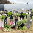 슬기농장 2 이미지