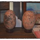 나그네집 이미지