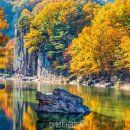 웰빙자동차정비 이미지