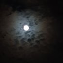 우미조개전골 이미지