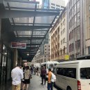 시드니여행(3)-사막썰매투어, 오크베일동물원, 쉘리비치, 차이나타운 본가