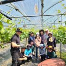 김천시 문화회관 이미지