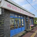 월드피시 이미지