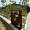 나들라온 이미지