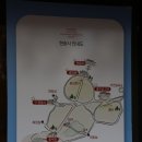 사자암 진입로 가로수 식재사업 | [곡교천 은행나무길 C] / 현충사의 가을