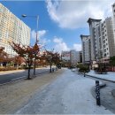 호매실서희부동산공인중개사사무소 | 호매실오피스텔 구매 시 서희코뿔소 공인중개사 이용해야 하는 이유
