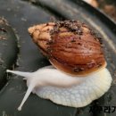 호복 농장 이미지