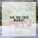 풍성풍성두피