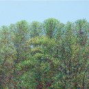 문정애 展/" a DOTTED FOREST 点(점), 숲으로 피어나다 " 이미지