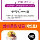 토이패밀리 이미지