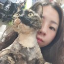 동구미이마트 약국 이미지