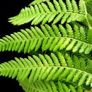 정원인테리어 이미지