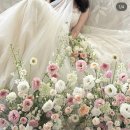 가든에이(garden-a)/ 무이 스튜디오 /로맨틱조이,소와연,로즈앤모어,플라워윤선 비교/ 금액 및 특징 정리