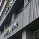 올리브영 앞 횡단보도 이미지