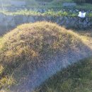 진안산소 이미지