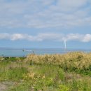 바당소나이민박 이미지