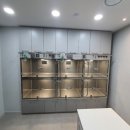 민들레동물병원 네이버블로그